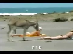 BRAZZERS Award Winning Big Booty rebondit 4 diamants